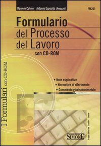 Formulario del processo del lavoro