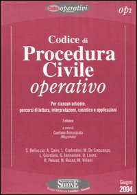 Codice di procedura civile operativo