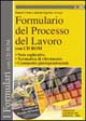 Formulario del processo del lavoro