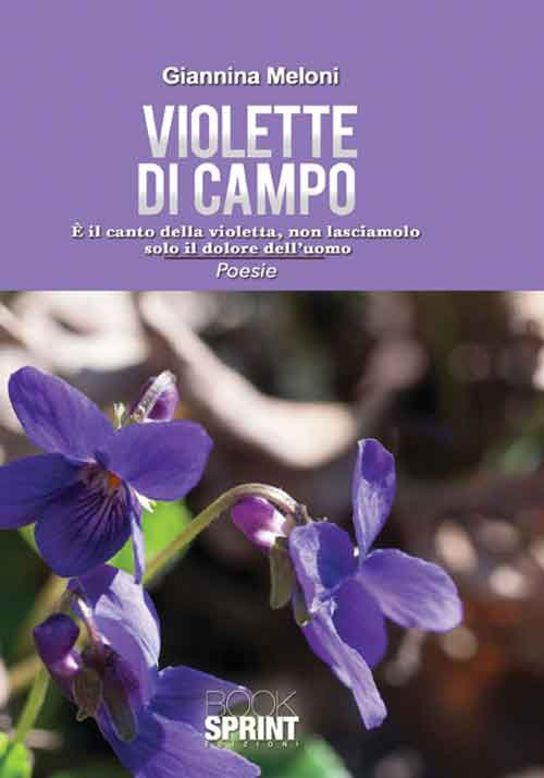 Violette di campo. È il canto della natura, non lasciamolo solo il dolore dell'uomo