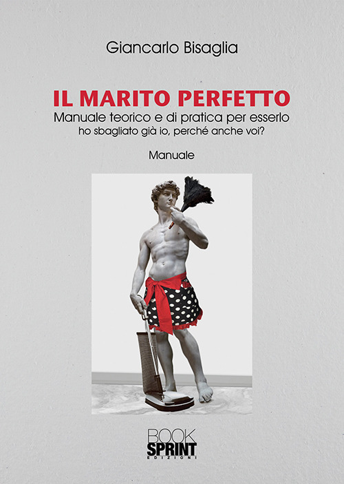 Il marito perfetto. Manuale teorico e di pratica per esserlo. Ho sbagliato già io, perché anche voi?