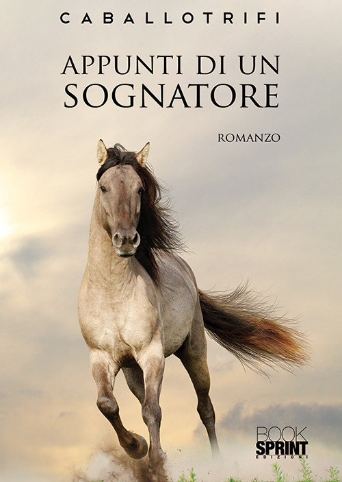 Appunti di un sognatore