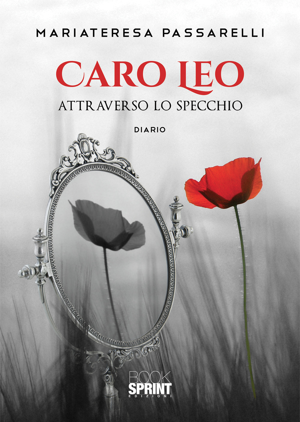 Caro Leo. Attraverso lo specchio