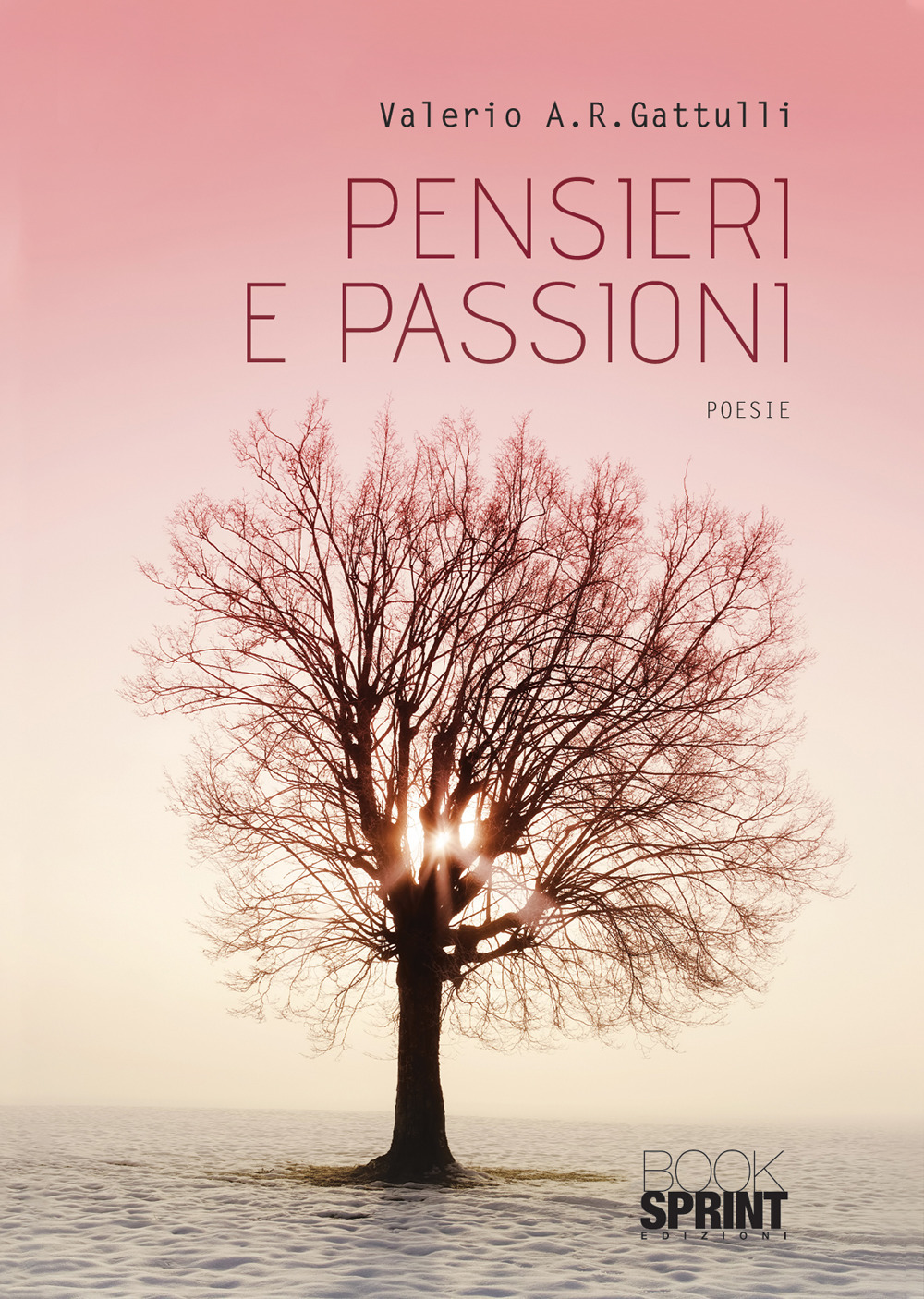 Pensieri e passioni