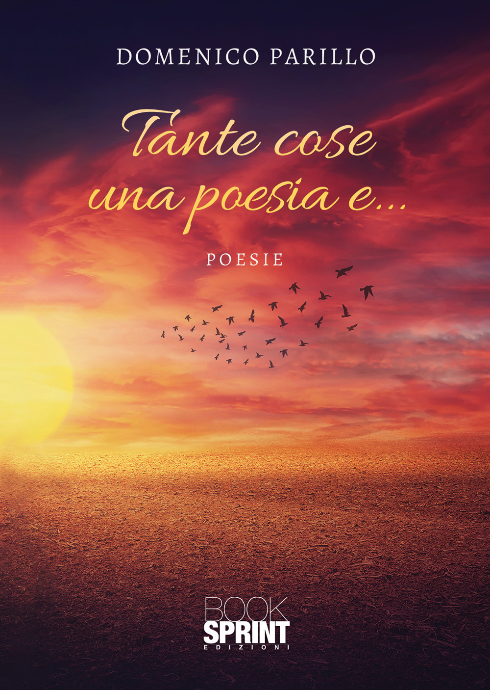 Tante cose una poesia e…