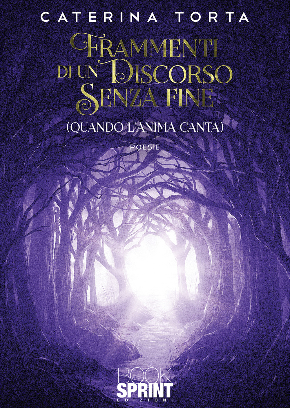 Frammenti di un discorso senza fine (quando l'anima canta)