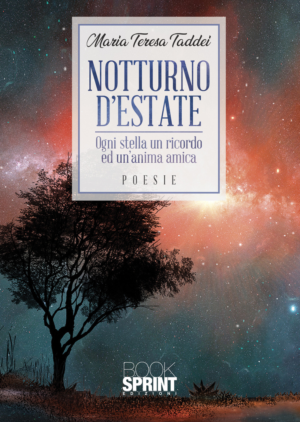 Notturno d'estate. Ogni stella un ricordo e un'anima amica