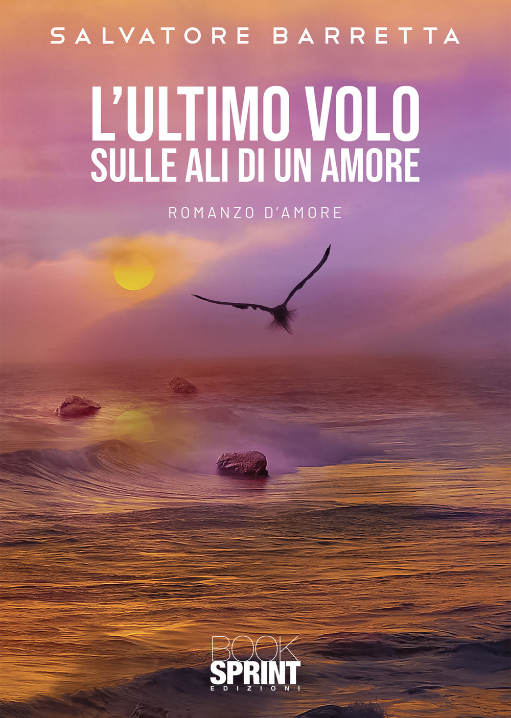 L'ultimo volo. Sulle ali di un amore