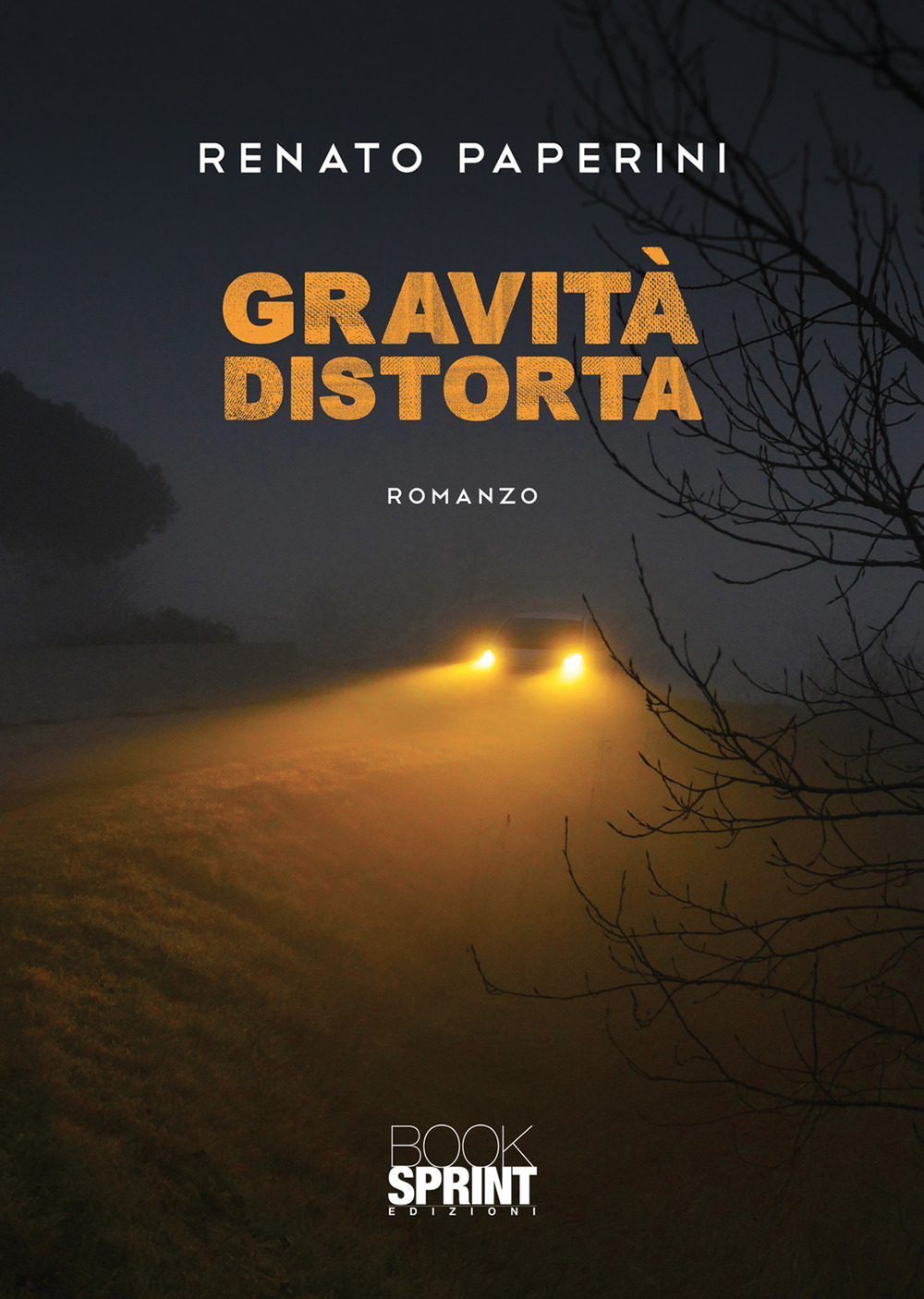 Gravità distorta