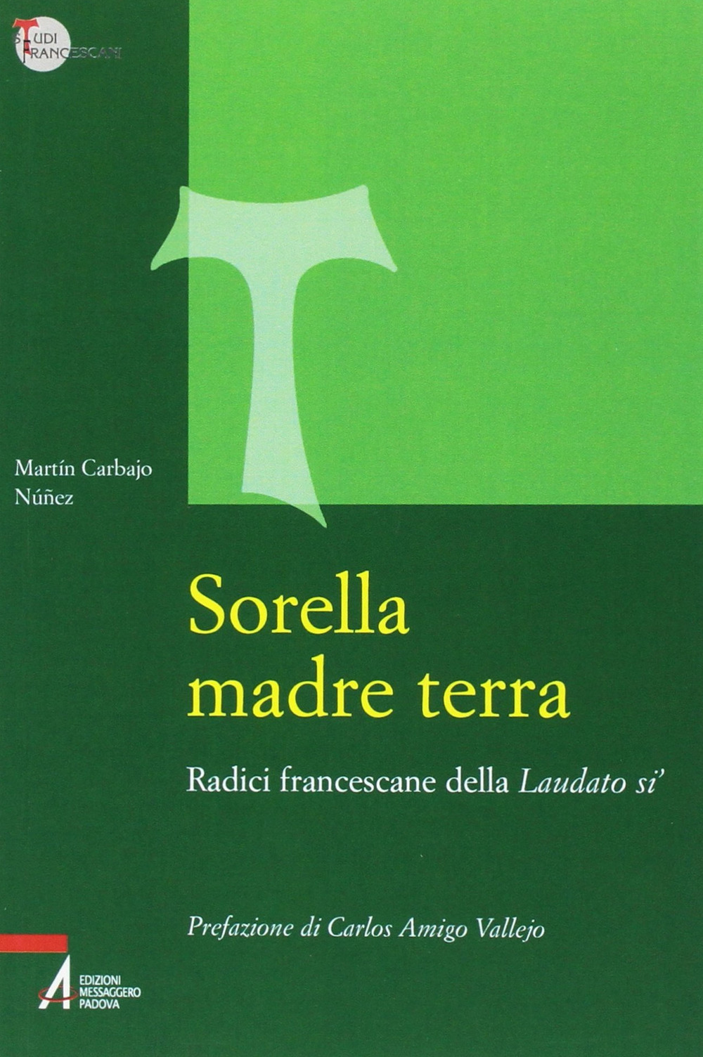 Sorella madre terra. Radici francescane della «Laudato si’»