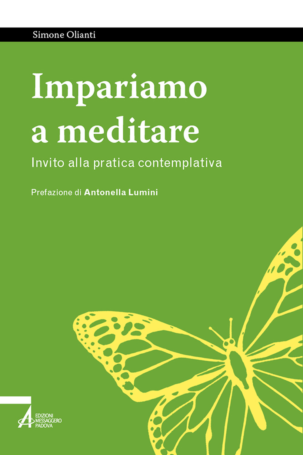 Impariamo a meditare. Invito alla pratica contemplativa