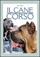 Il cane corso