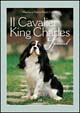 Il cavalier King Charles spaniel