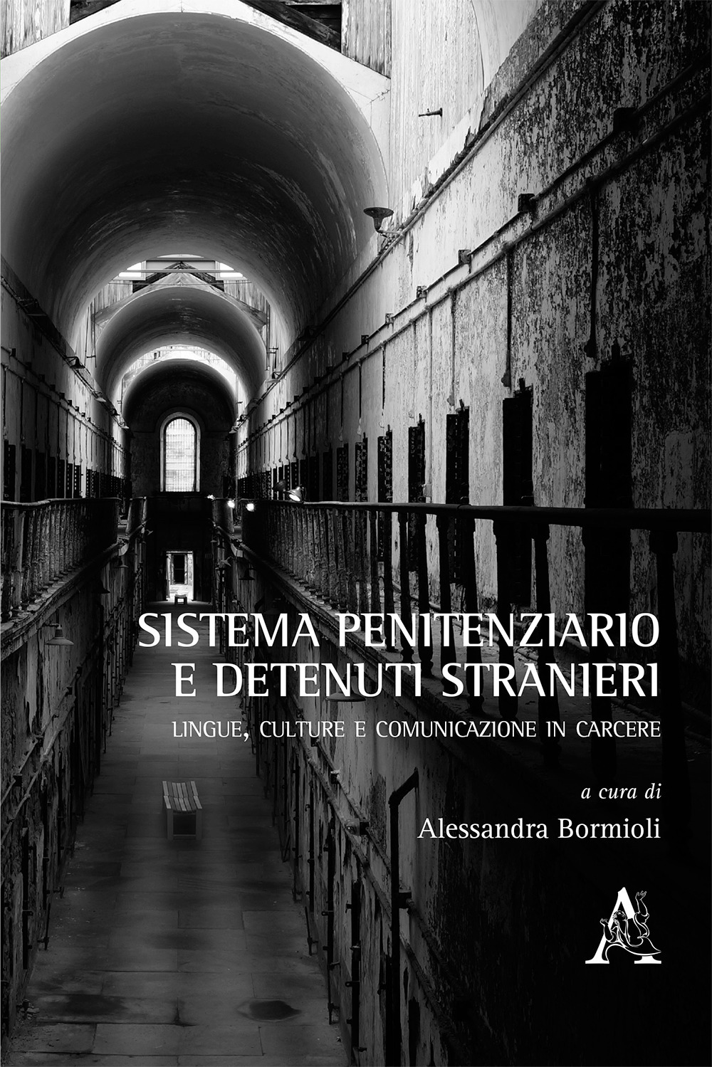 Sistema penitenziario e detenuti stranieri. Lingue, culture e comunicazione in carcere