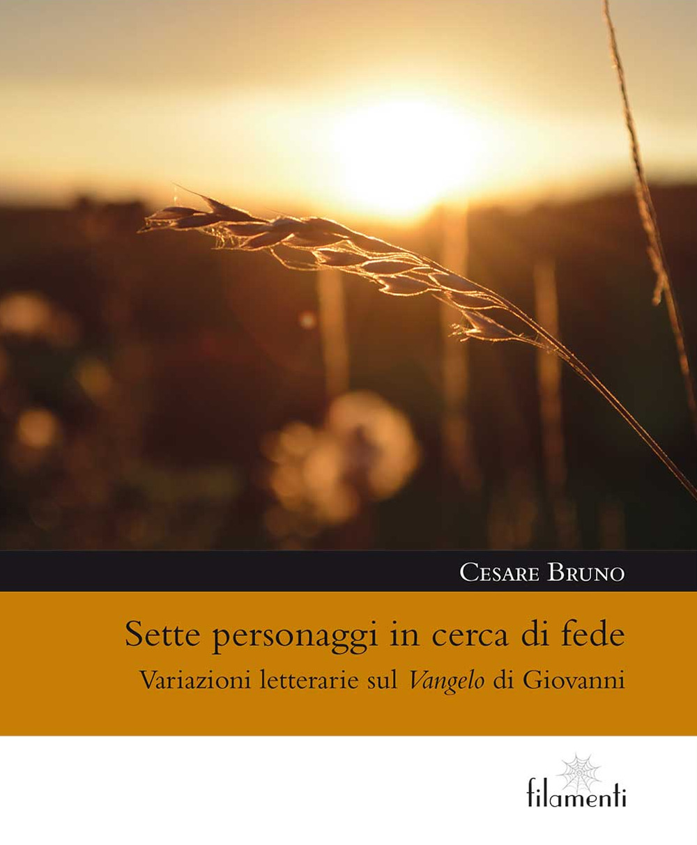 Sette personaggi in cerca di fede. Variazioni letterarie sul Vangelo di Giovanni
