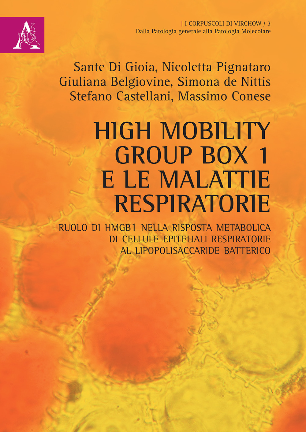 High mobility group box 1 e le malattie respiratorie. Ruolo di HMGB1 nella risposta metabolica di cellule epiteliali respiratorie al lipopolisaccaride batterico