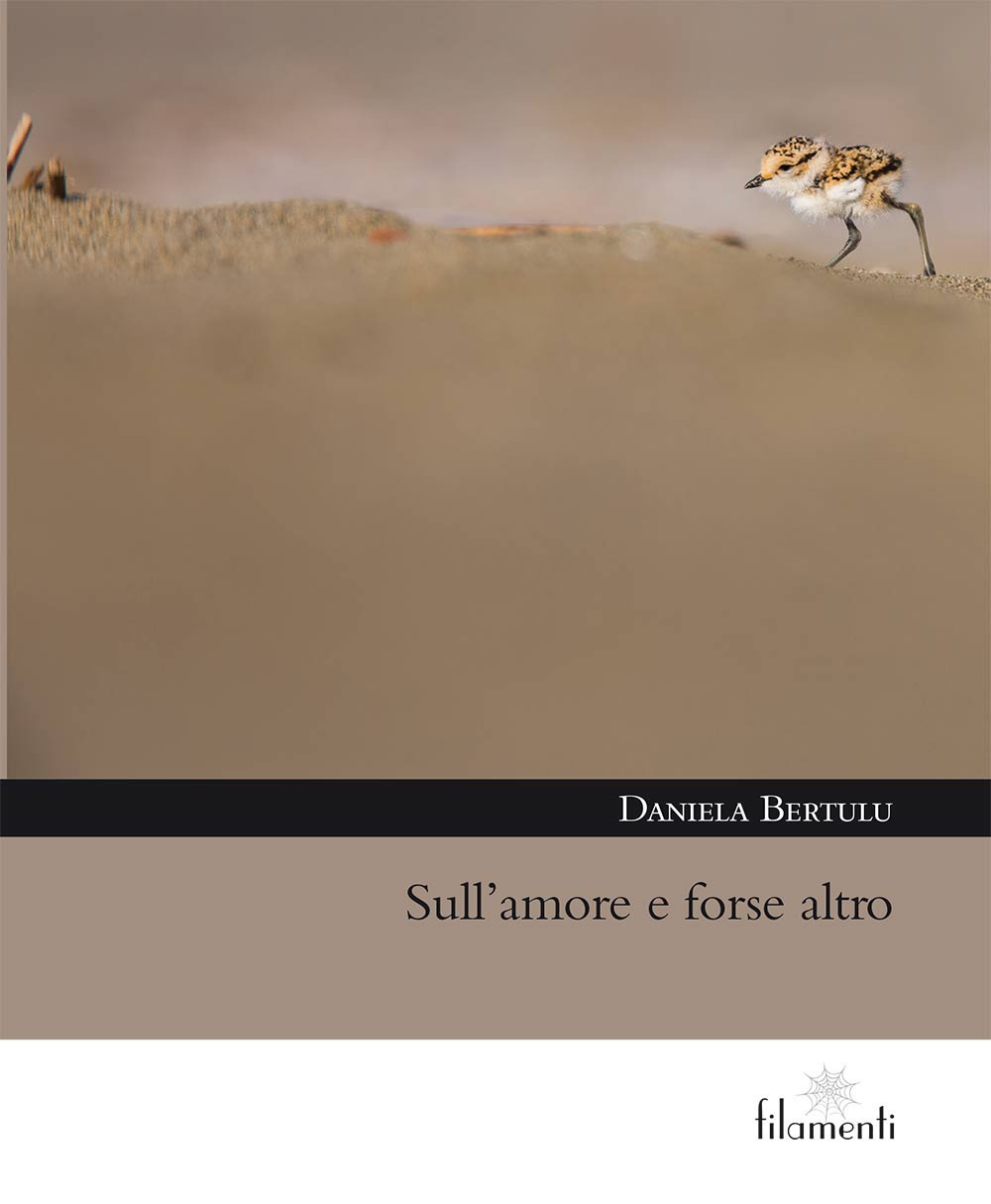 Sull'amore e forse altro