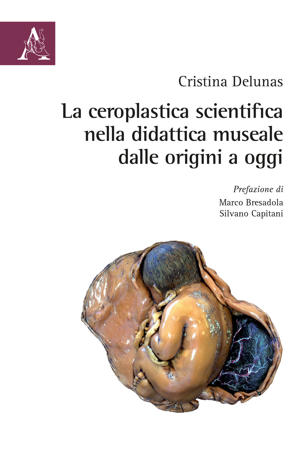 La ceroplastica scientifica nella didattica museale dalle origini ad oggi