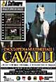 Enciclopedia multimediale dei cavalli