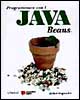 Programmare con Java Beans