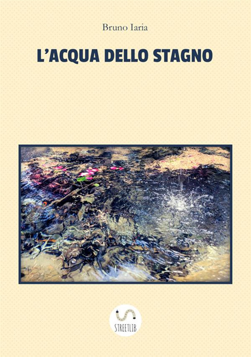L'acqua dello stagno