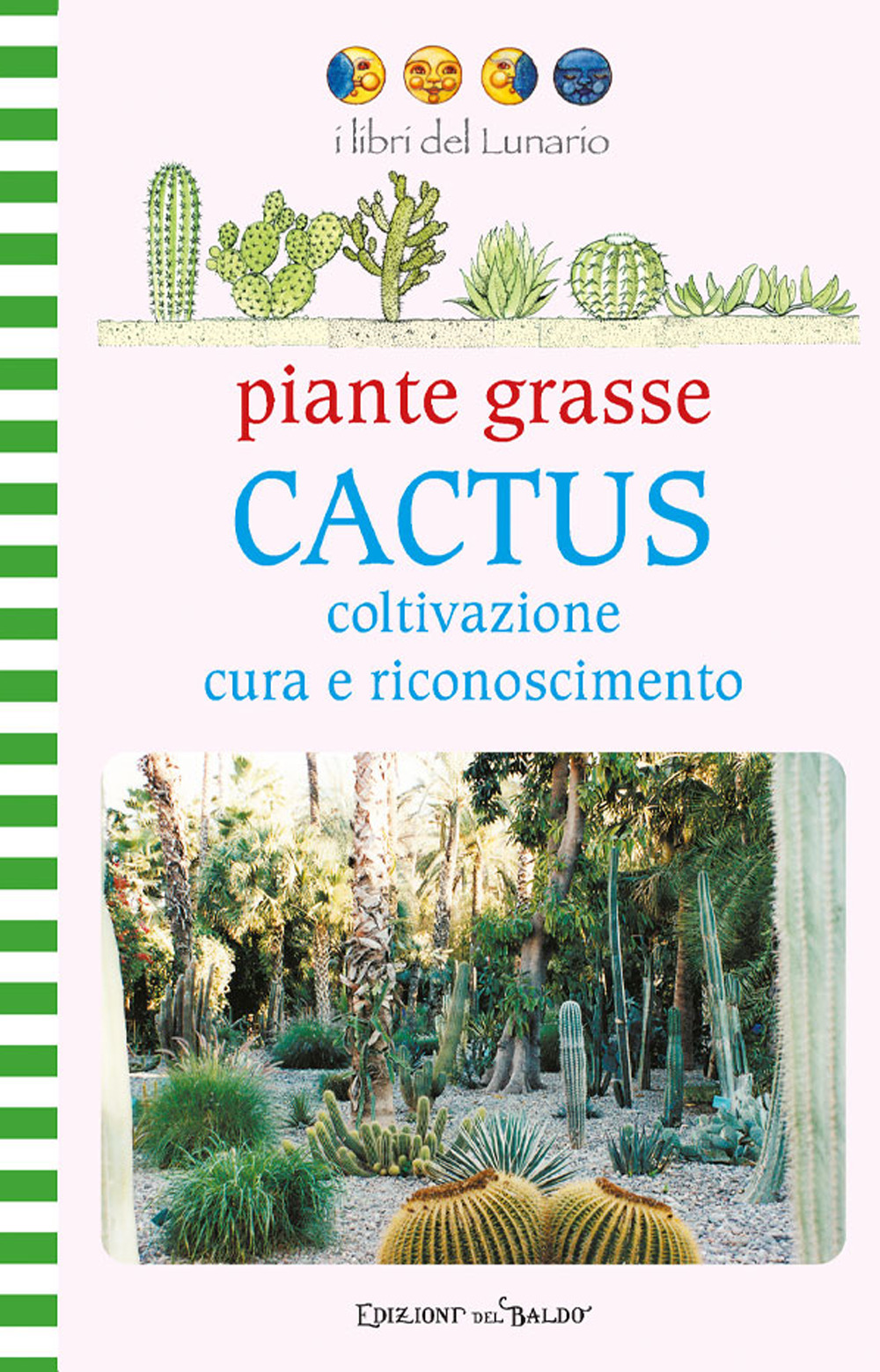 Piante grasse. Cactus coltivazione cura e riconoscimento