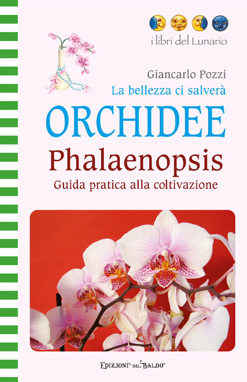 La bellezza ci salverà. Orchidee. Phalaenopsis