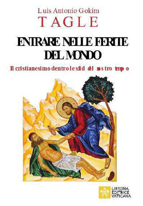 Entrare nelle ferite del mondo. Il cristianesimo dentro le sfide del nostro tempo