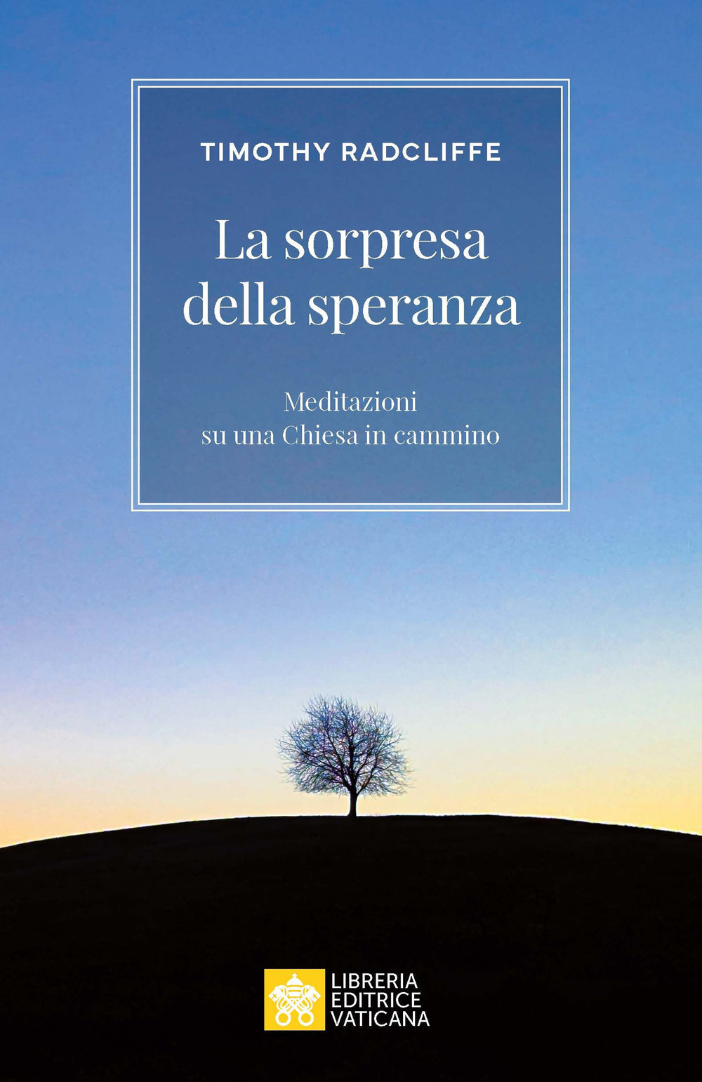Sorpresi dalla speranza. Meditazioni su una Chiesa in cammino