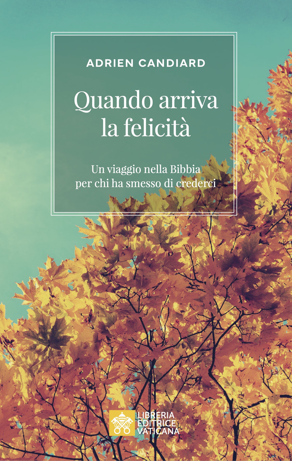 Quando arriva la felicità. Un viaggio nella Bibbia per chi ha smesso di crederci