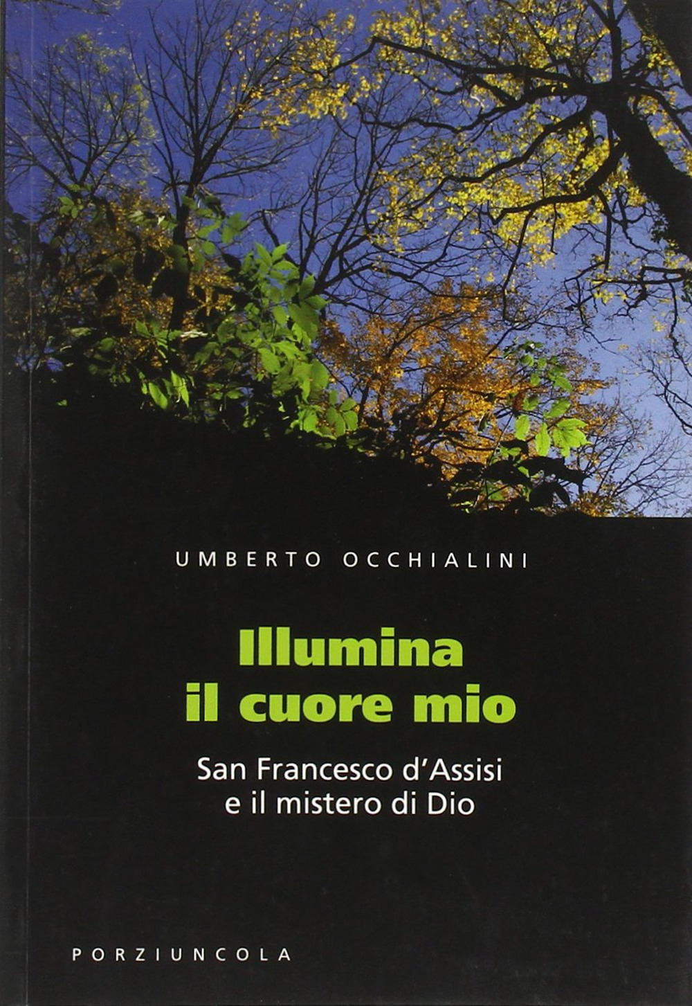 Illumina il cuore mio. San Francesco d'Assisi e il mistero di Dio