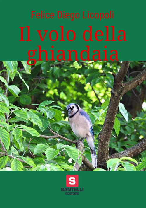 Il volo della ghiandaia