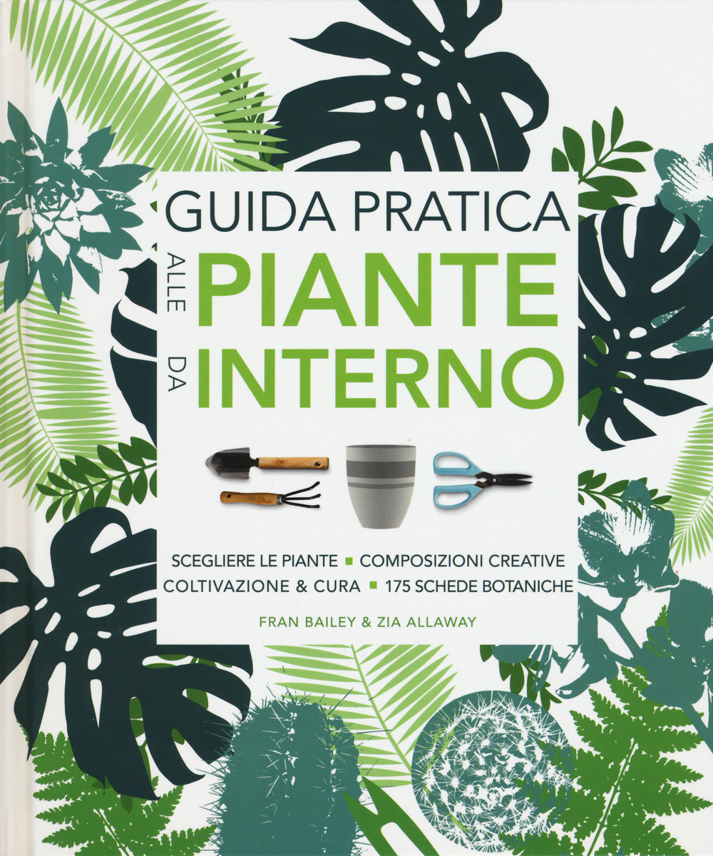 Guida pratica alle piante da interno