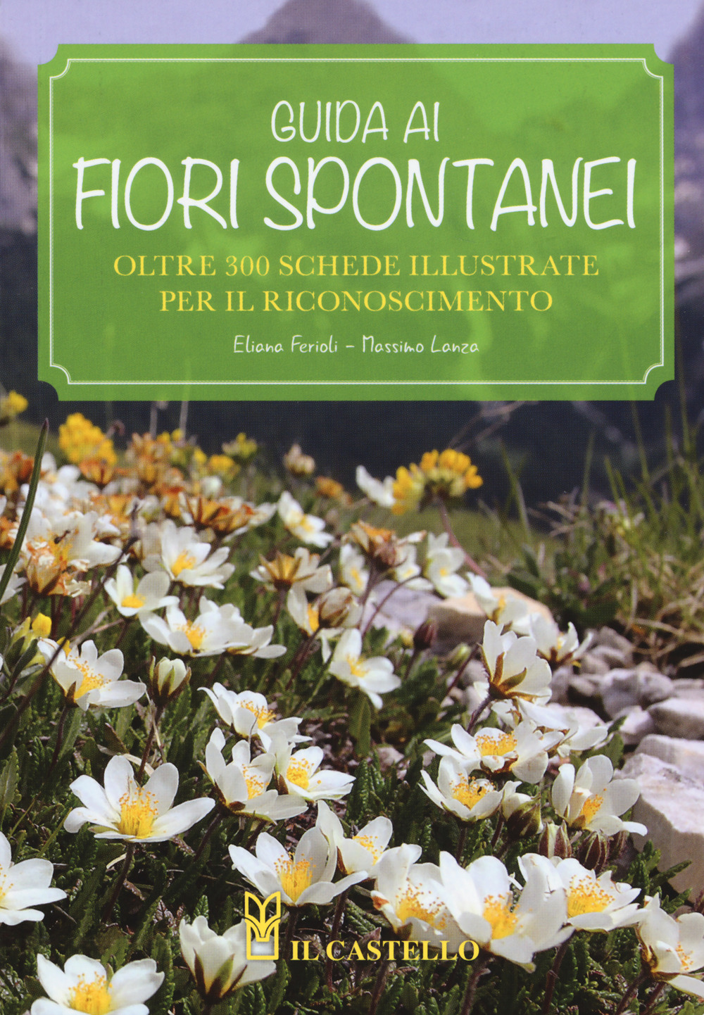 Guida ai fiori spontanei