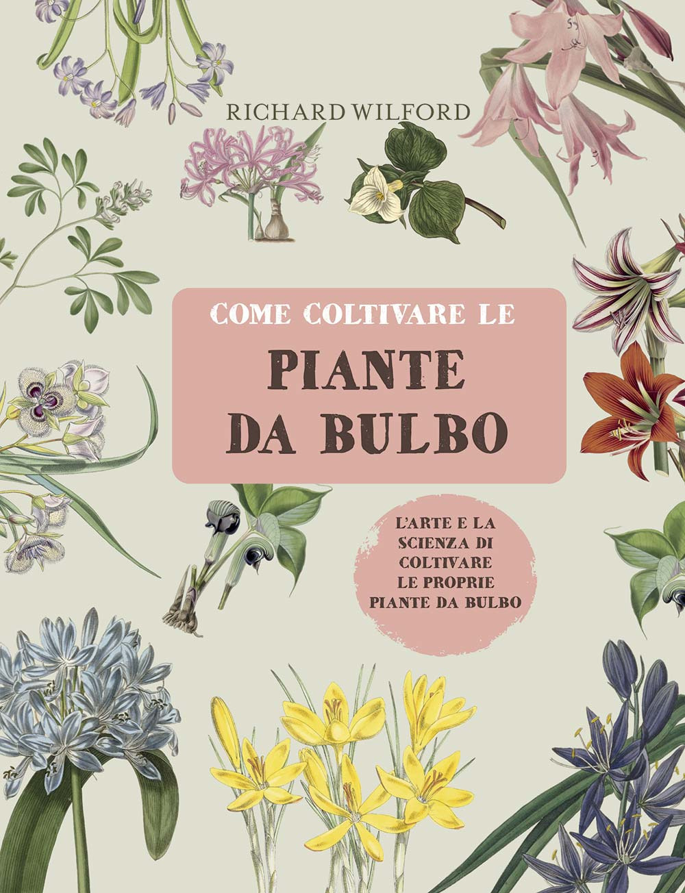Come coltivare le piante da bulbo. L'arte e la scienza di coltivare le proprie piante da bulbo