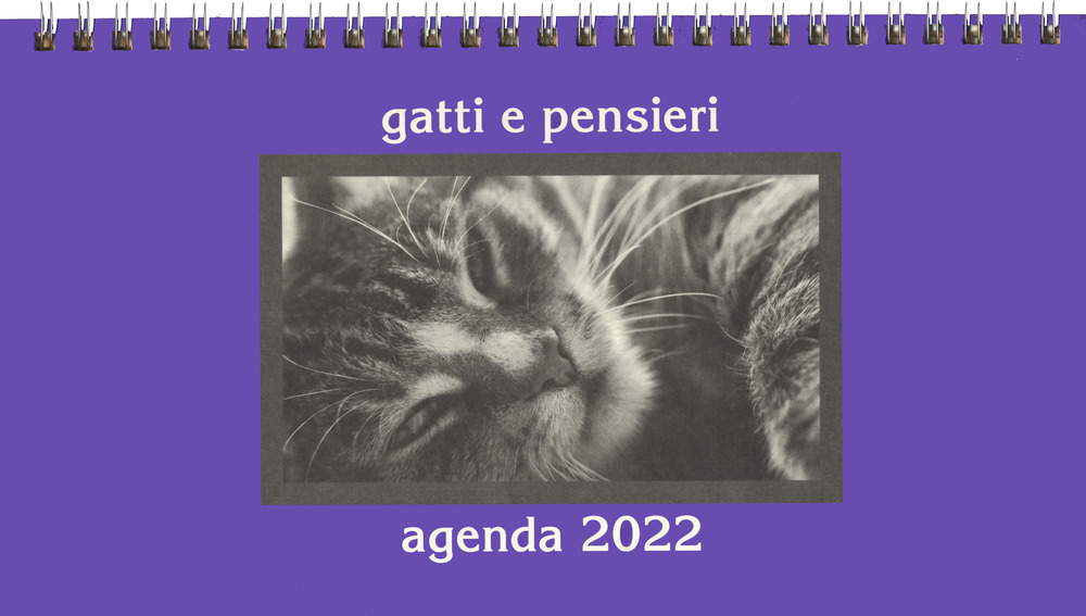Gatti e pensieri. Agenda 2022