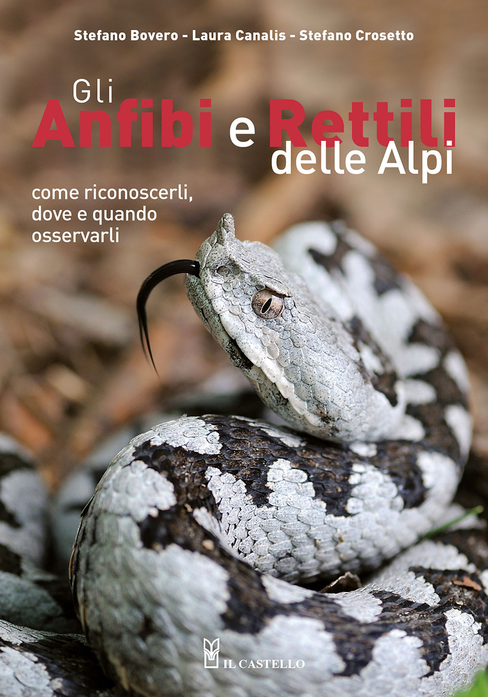 Gli anfibi e rettili delle Alpi. Come riconoscerli, dove e quando osservarli