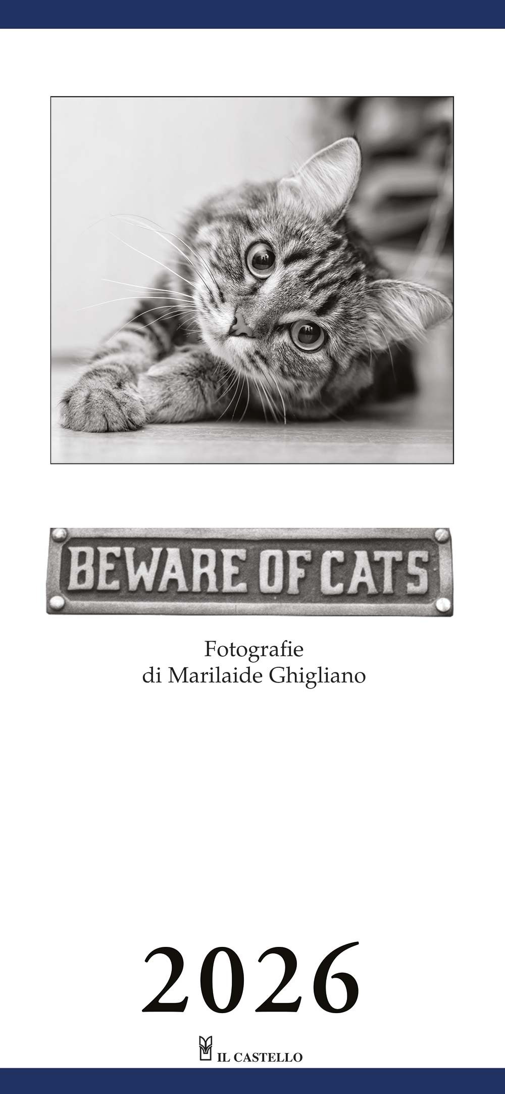Beware of cats. Calendario gatti 2026