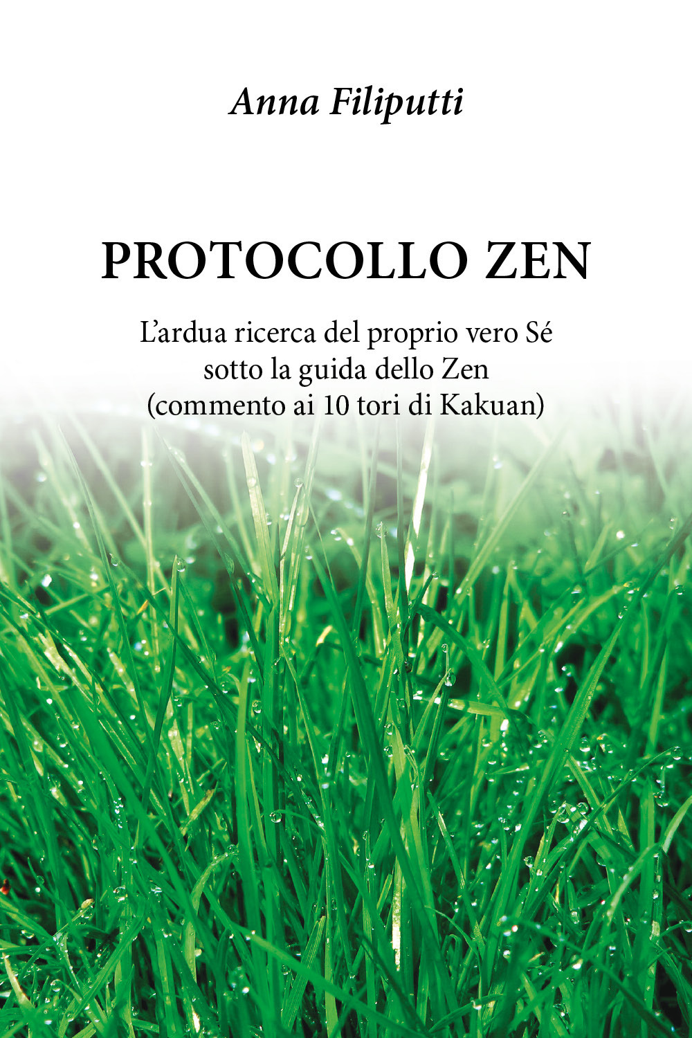 Protocollo zen