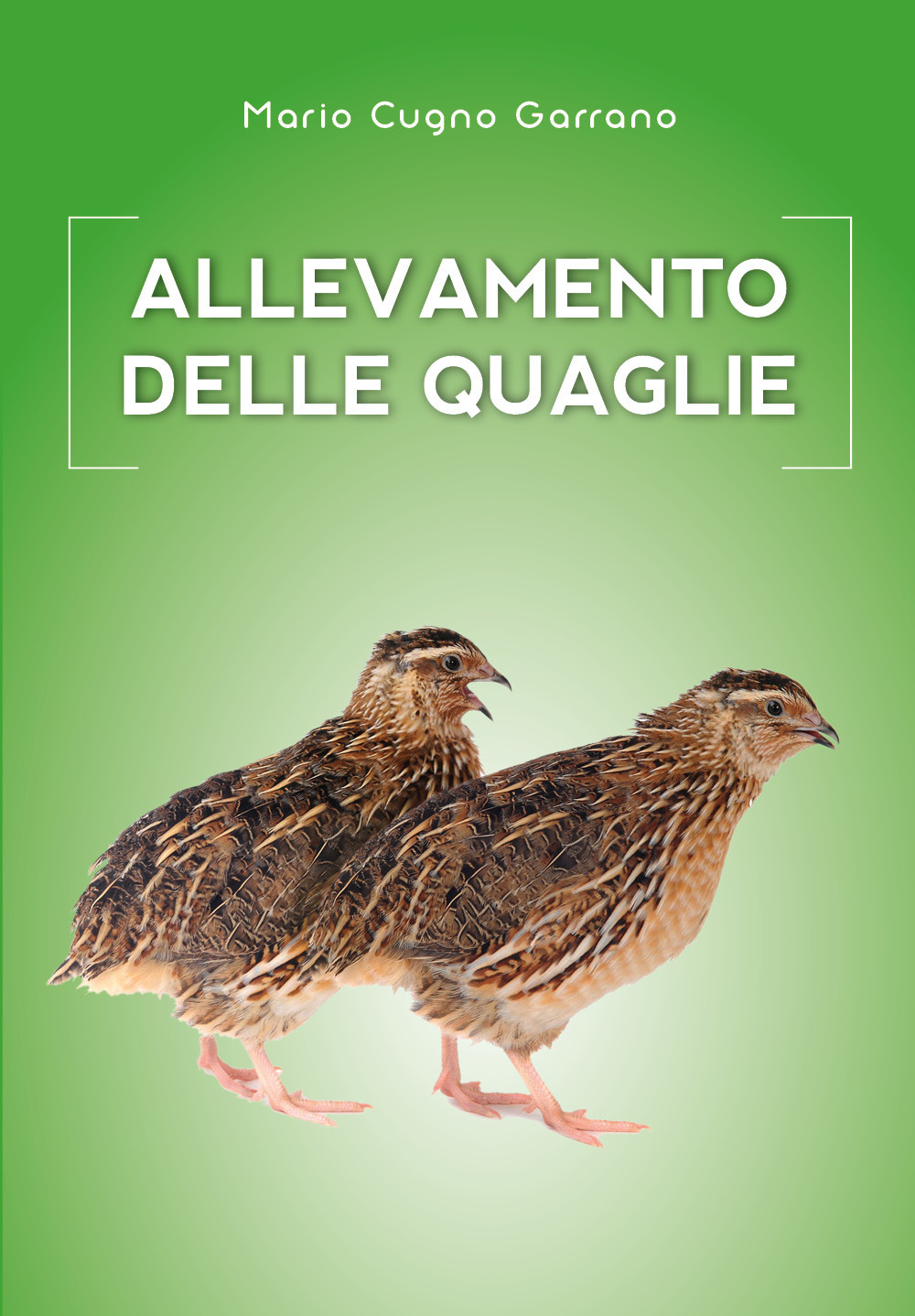 Allevamento delle quaglie