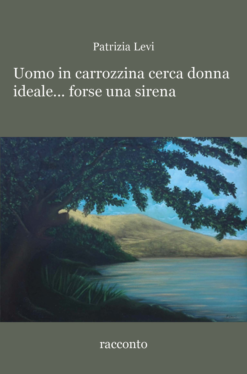 Uomo in carrozzina cerca donna ideale... forse una sirena