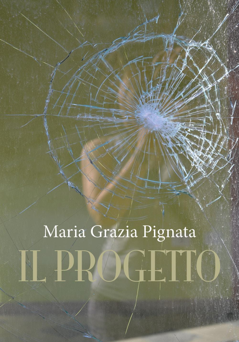 Il progetto