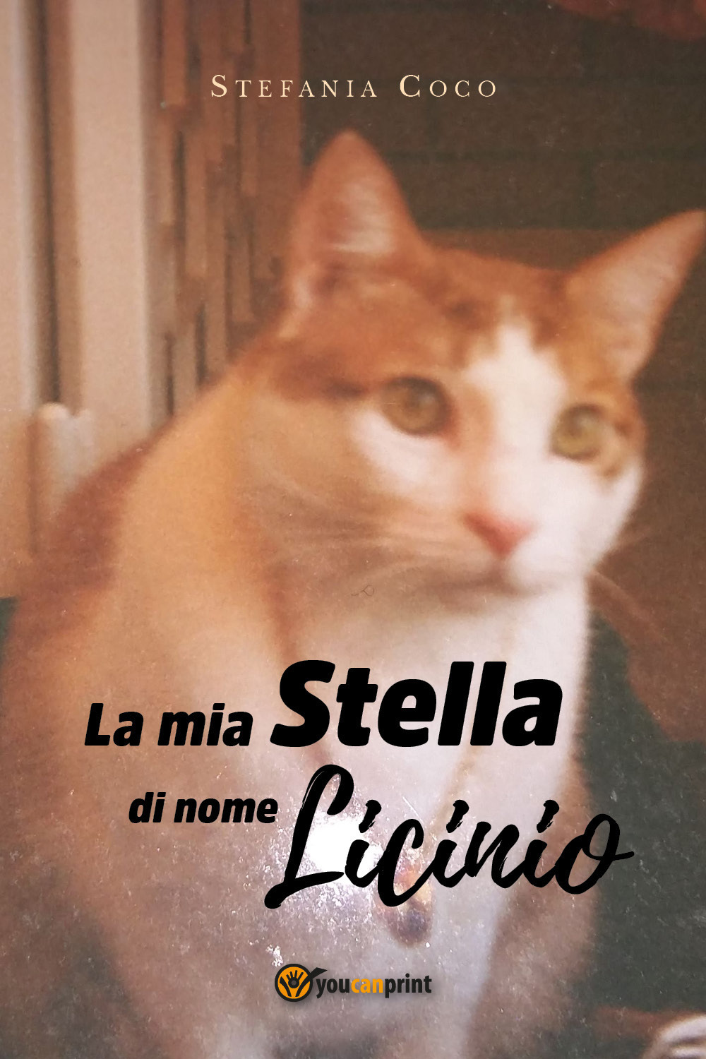 La mia stella di nome Licinio
