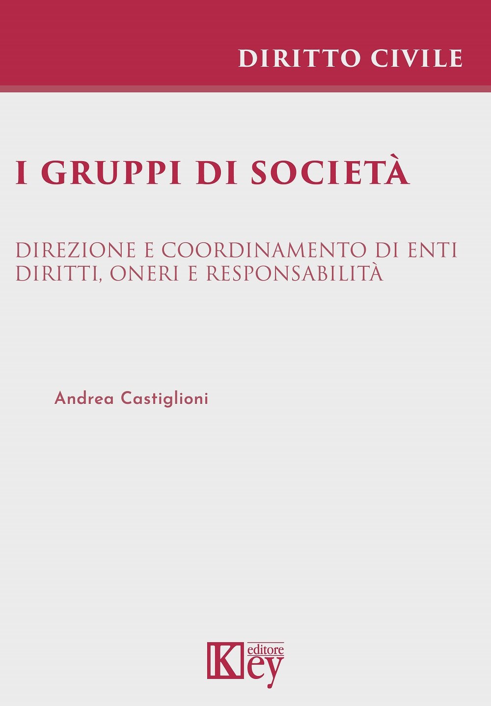 I gruppi di società. Direzione e coordinamento di enti. Diritti, oneri e responsabilità