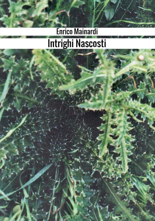 Intrighi nascosti