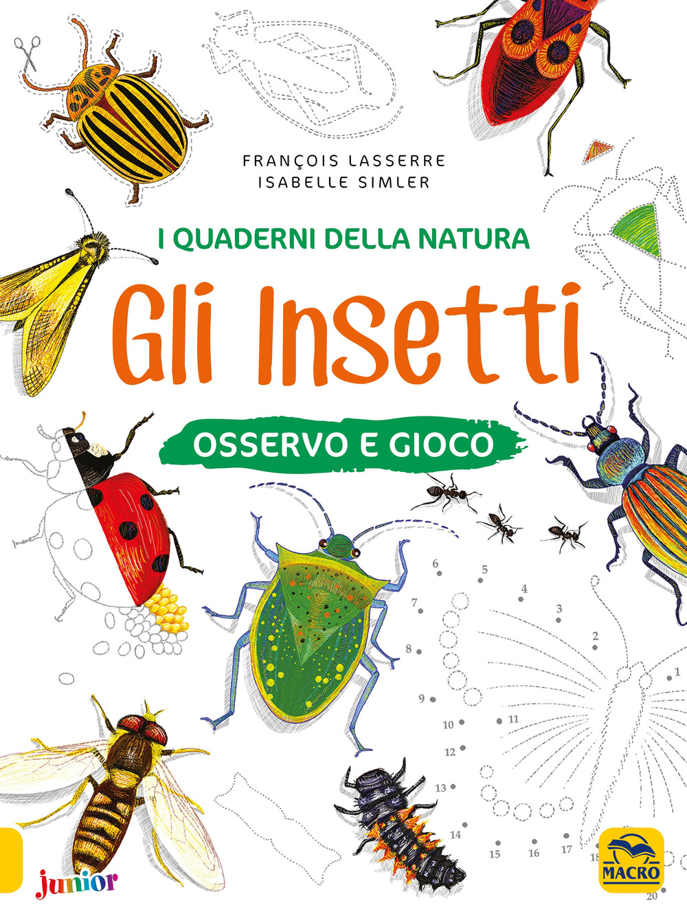 Gli insetti. Osservo e gioco