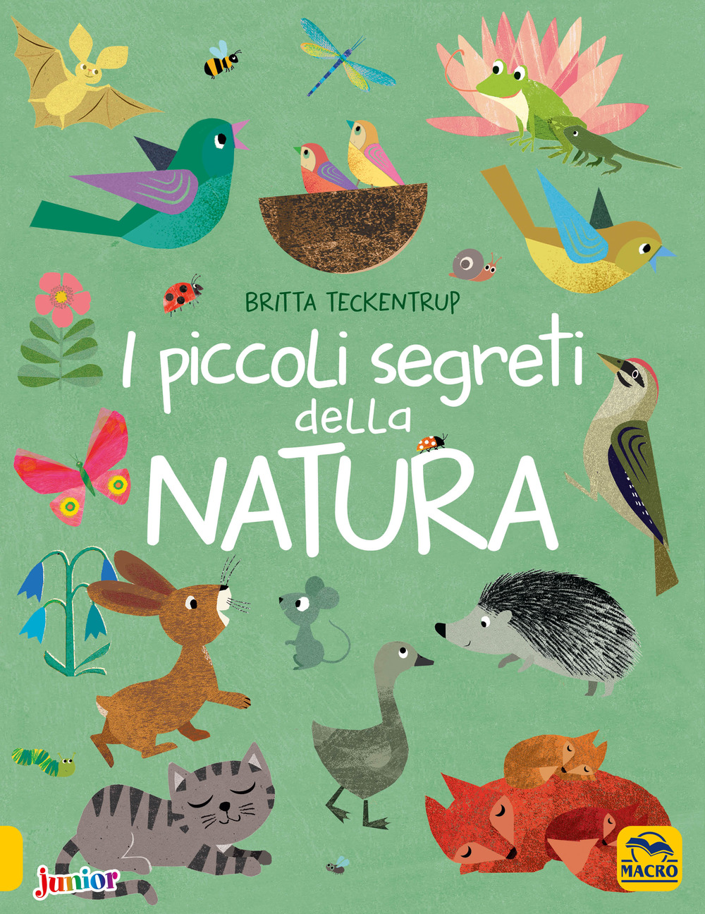 I piccoli segreti della natura