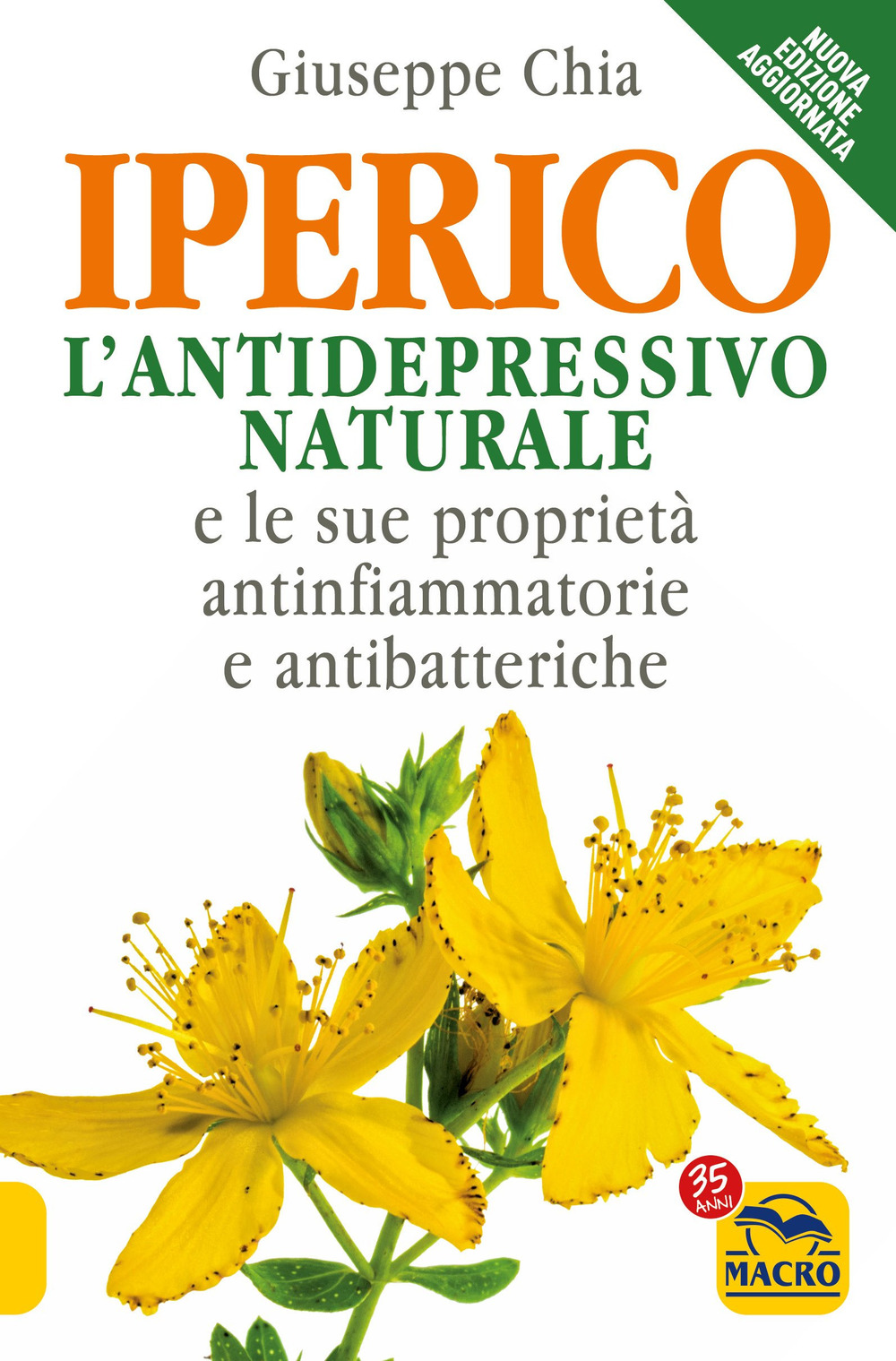 L'iperico. L'antidepressivo naturale e le sue proprietà antinfiammatorie e antibatteriche