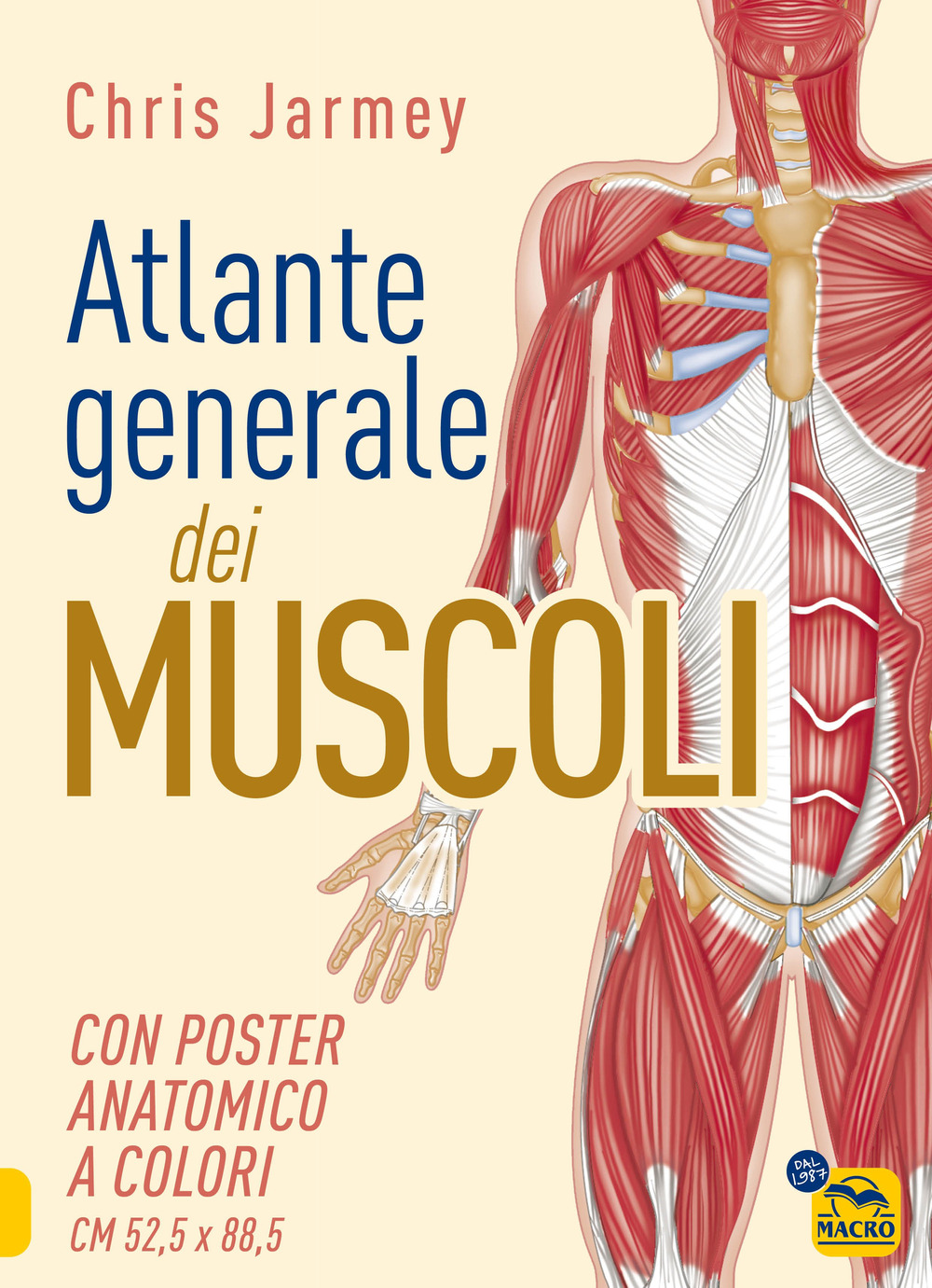 Atlante generale dei muscoli