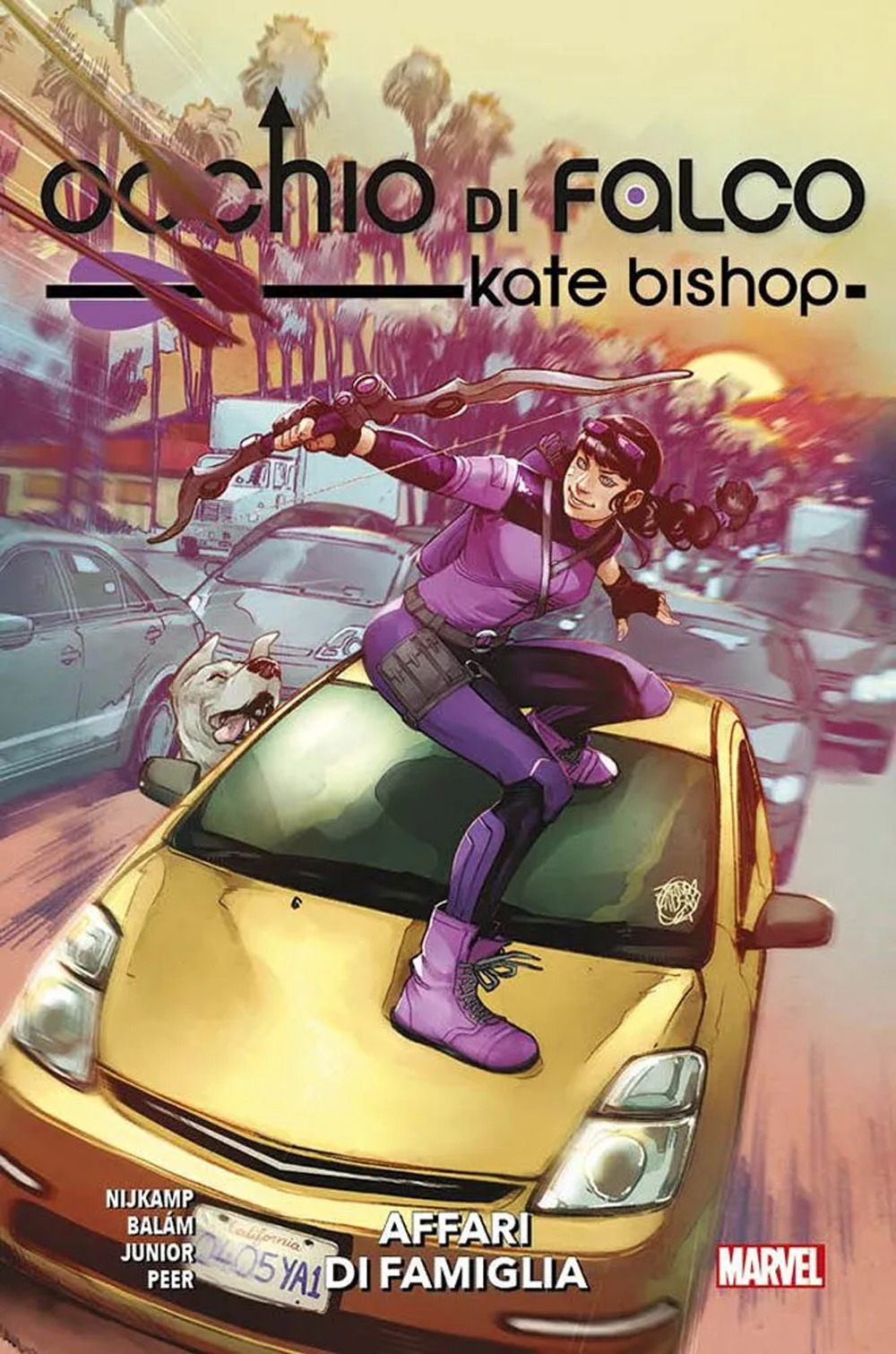 Affari di famiglia. Occhio di Falco. Kate Bishop